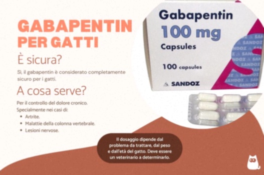 gabapentin