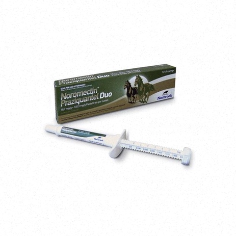 praziquantel